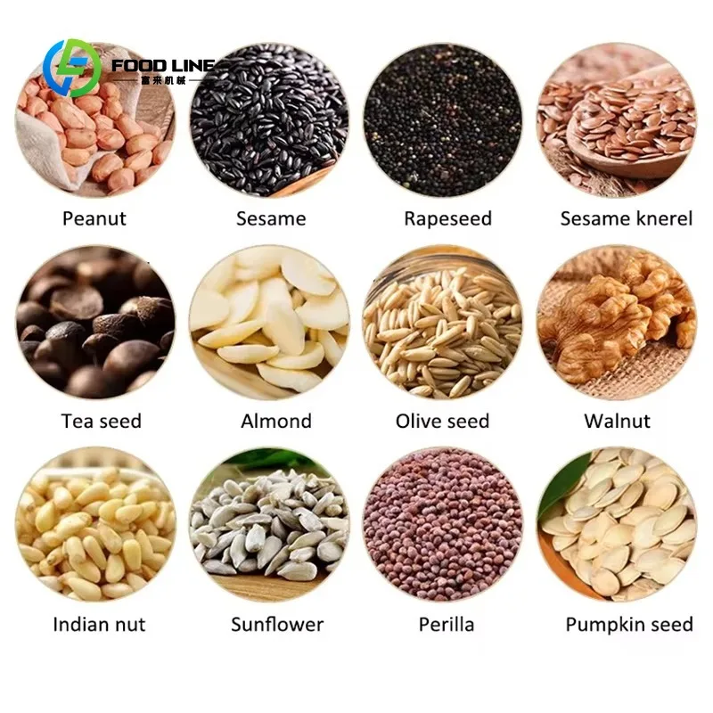 Customized Screw Oil Press Machine  Peanut Hazelnut Coconut Sesame Soybean Avocado Sunflower Oil Pressing Machine Oil Presser