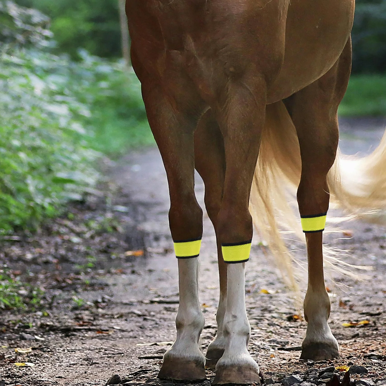 4 pezzi Leggings con cinturino alla caviglia per cavallo Collare di illuminazione Braccialetti a LED Fascia luminosa Flash