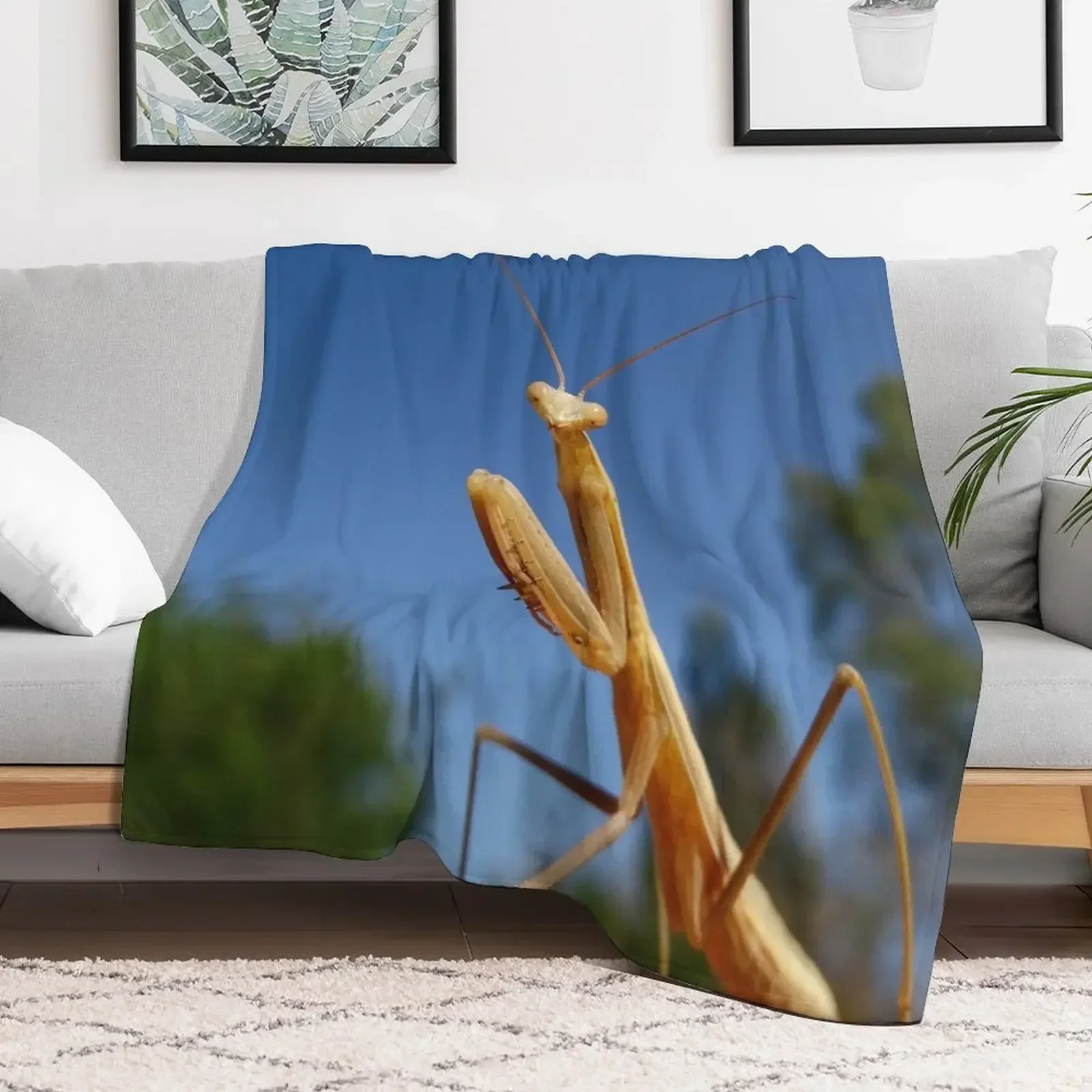 

Praying mantis Throw Blanket Luxury Brand Large Blankets