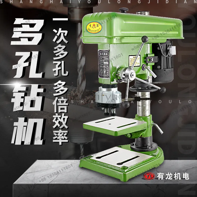 LX double head drilling machine numerical control industrial table dual-purpose multi-head adjustable multi-axis double axis