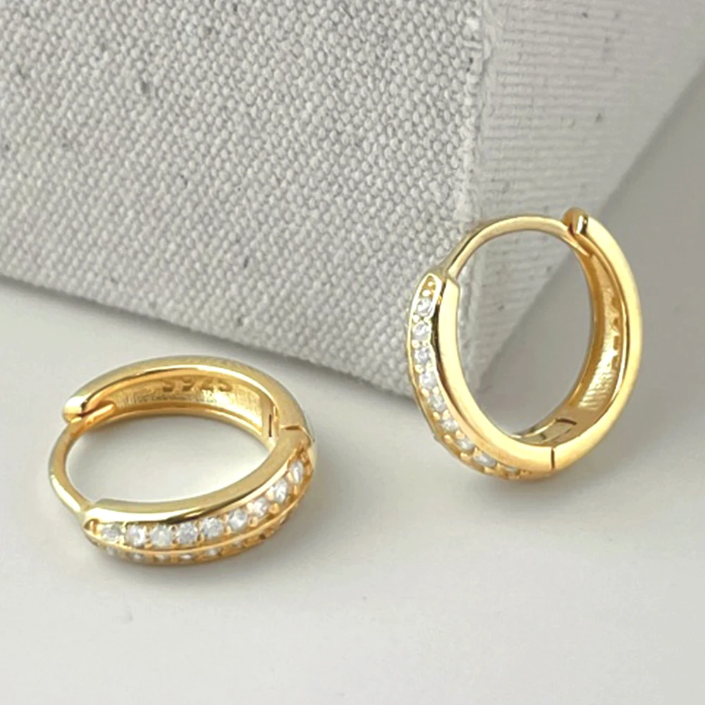 Real S925 Sterling Silver Earrings Bright 2 Rows Diamond Circle Earrings Women Luxury Jewelry Shiny 5A Zircon Girls Gift Party
