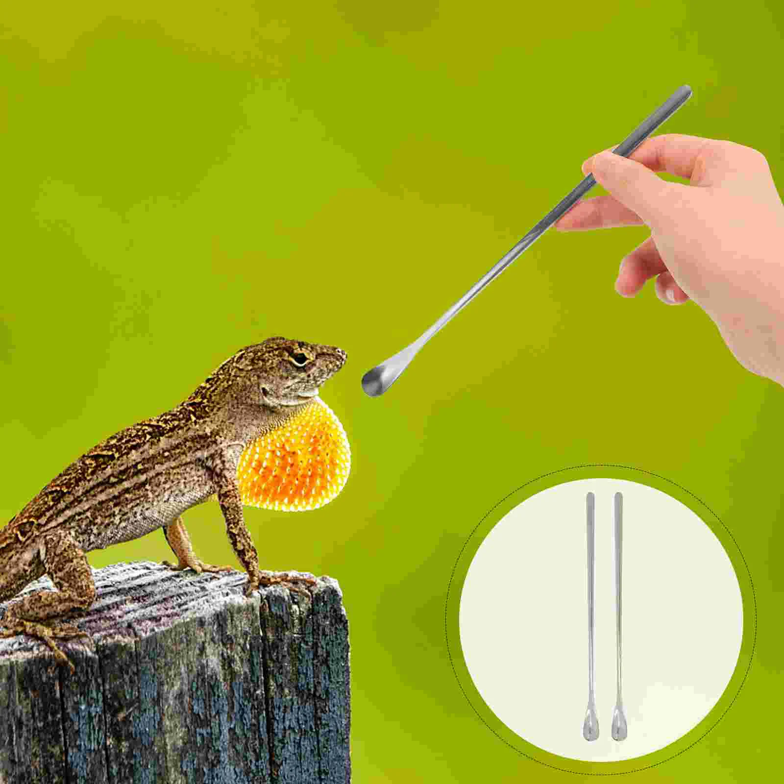 

Terrarium Kit Reptile Spoon The Animal Feeding Food Scoop Aquarium Heater Animals