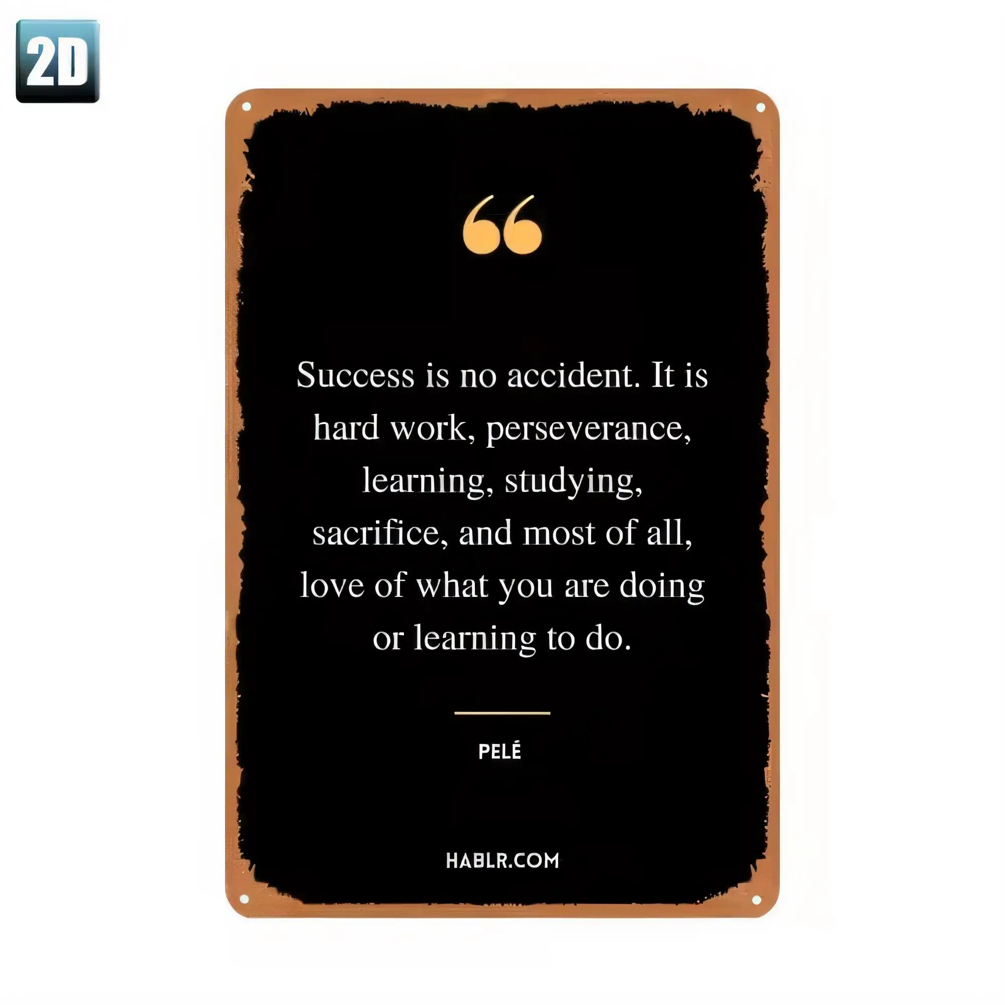 Tin Sign Motivational Quote Plaque Success Is No Accident Hard Work Perseverance Learning Studying Sacrifice Love What You Do Vi