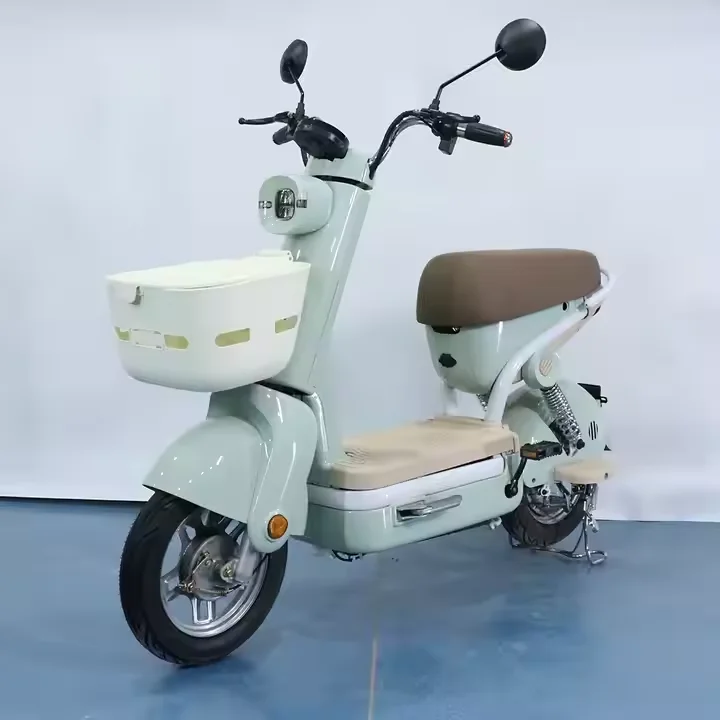 

Electric Bicycle With Fat Tire Two Wheels 48V Motor Electric City Bike E Bike for Adults