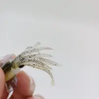 DUODUOYU 1PCS Mini Soft Squid Fishing Lure 6cm 2g Luminous UV Squid Jigs For Freshwater Fishing Lure Wobbler Bait Fishing Tackle 6