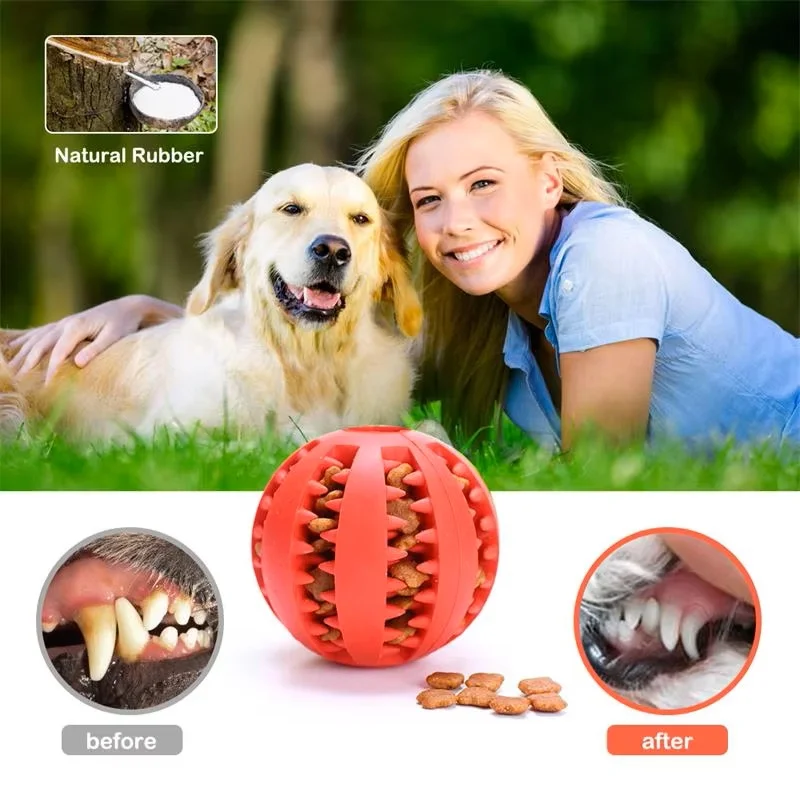 Interactive Silicone Rubber Ball Fun Chew Toy for Dogs And Cats Puppy Tooth Cleaning Pet Feeder Treat Ball