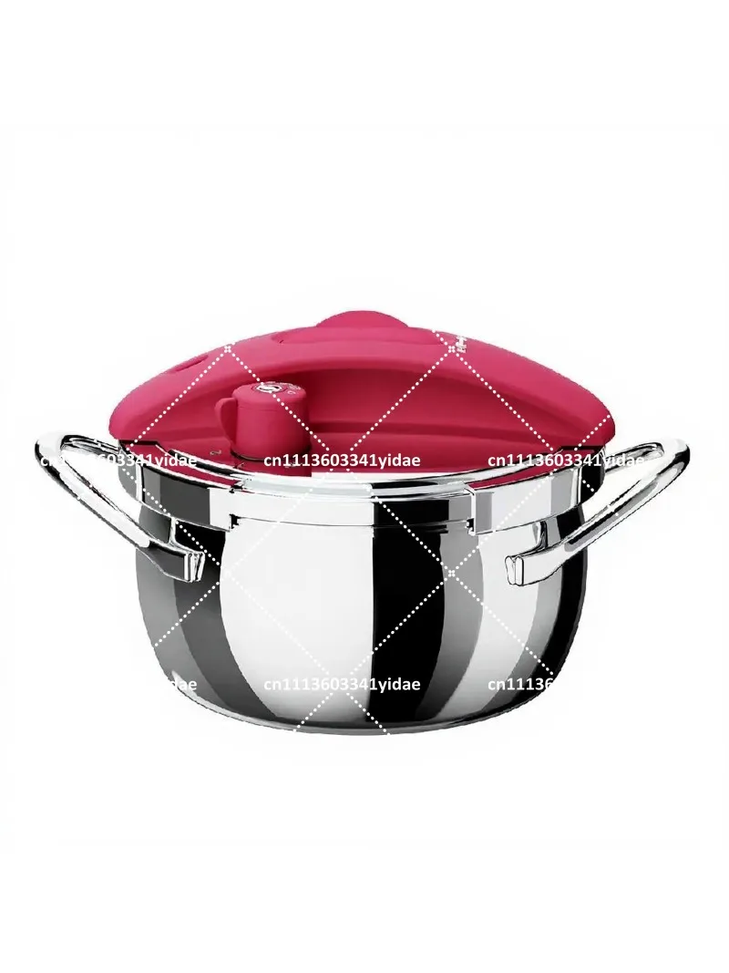 304 Stainless Steel Pressure Cooker, Explosion-Proof Small Pressure Cooker for Home Cooking