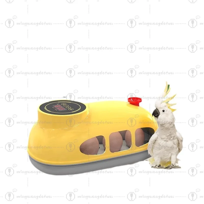 Small Household Intelligent Mini Egg Incubator for Chicken & Chicks