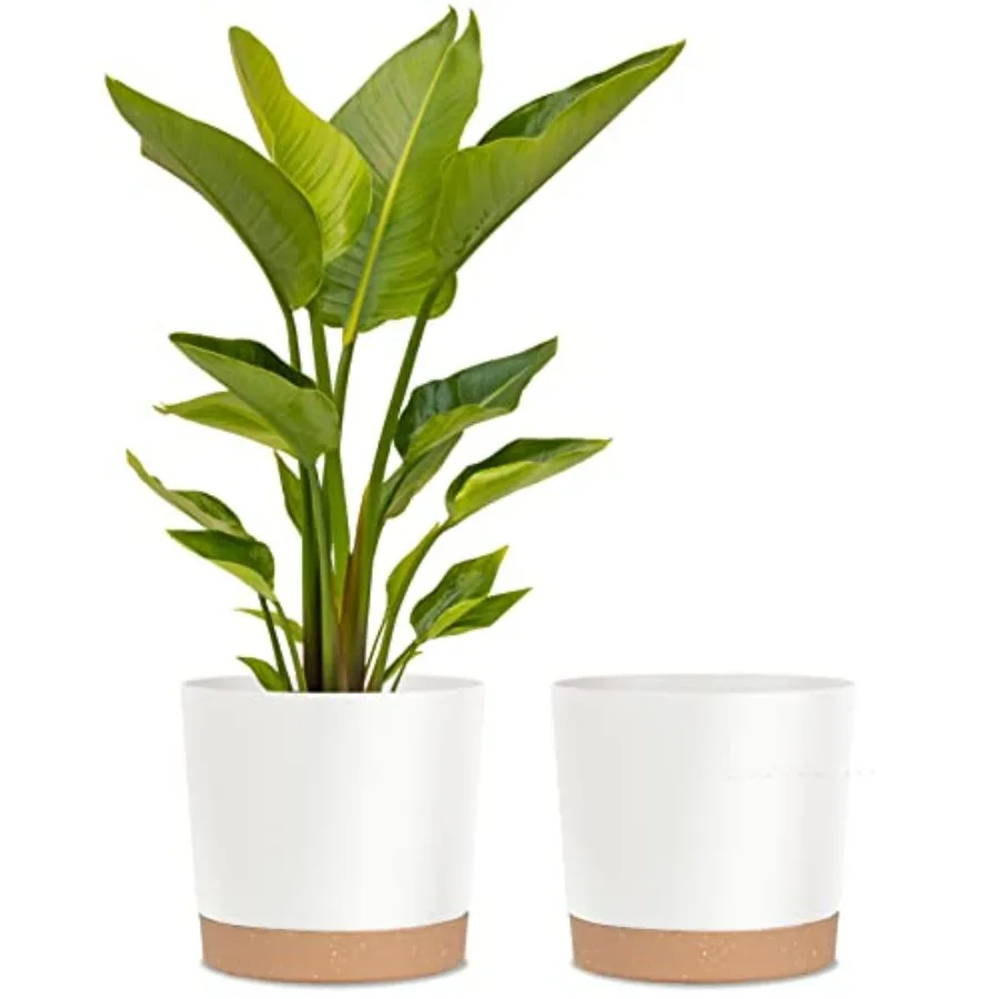 

Indoor/outdoor plant pots, lightweight white plastic, 12 inch, with drainage, for large indoor plants