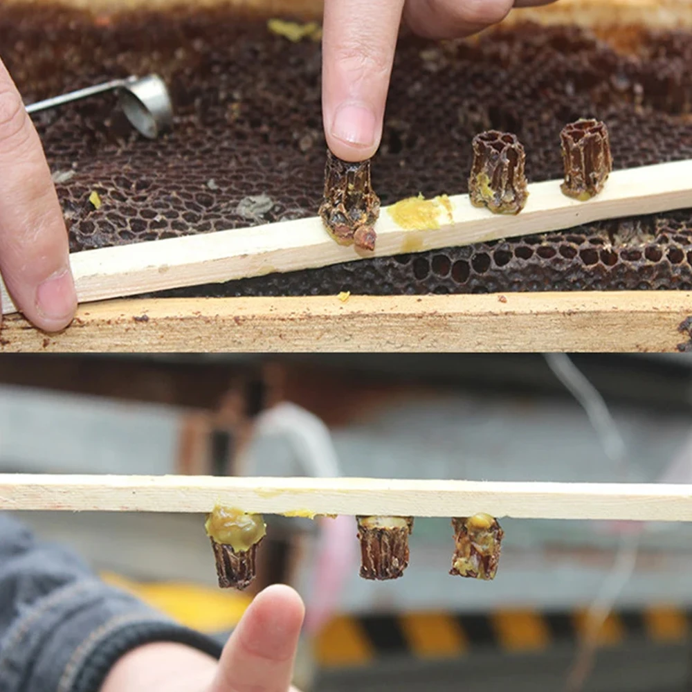 Non-graft Queen Rearing Comb Foundation Cutter for Queen Bee Rearing Beekeeping Equipment Bee Extractor Tool Cutting Beehive