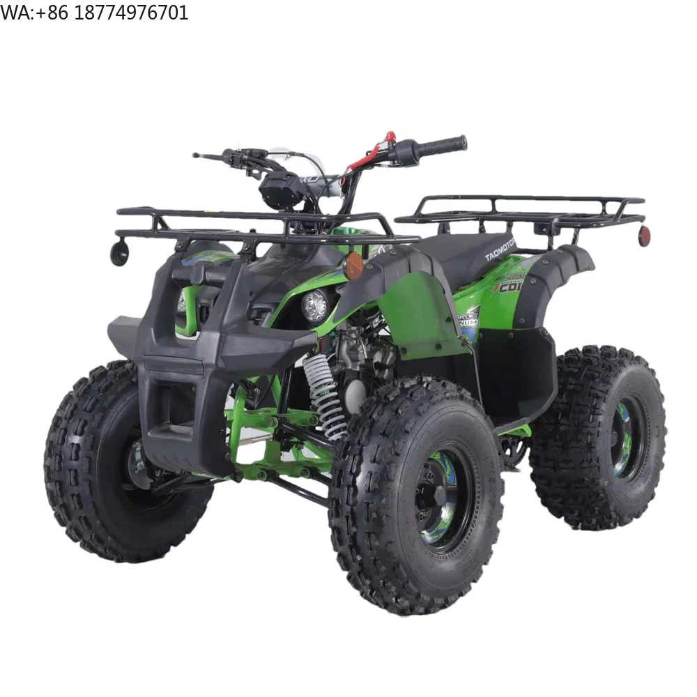 Cuatrimoto Infantil Tao Motor, Vehículo Todoterreno de 110cc, ATV Automático, Cuatrimoto con Arranque Eléctrico, 4 Ruedas, Tracción en 2 Ruedas