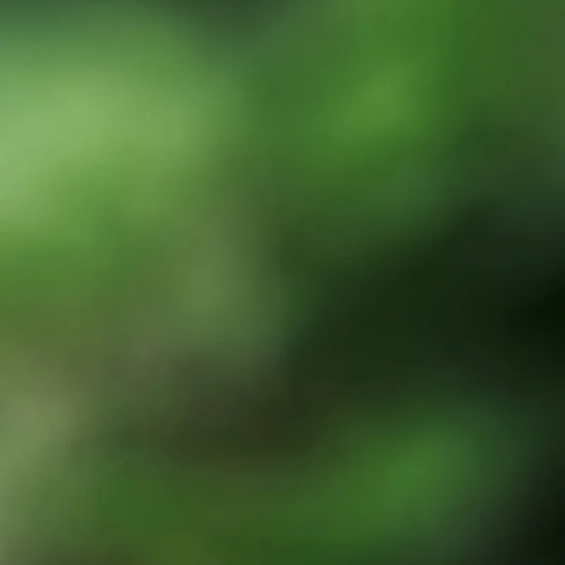 ^ | ^ Per Precision 3551 P80F v976r 0v976r Laptop con fotocamera integrata Webcam Web