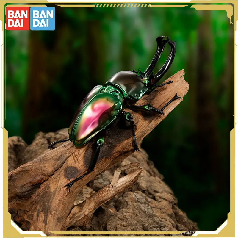

Bandai Original Biological Atlas Anime Figure Gashapon Movable Insect Ornaments Action Figure Toys for Boys Girls Kids Gift