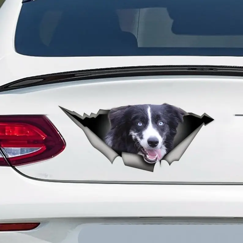 Black and white Aussie car decal, Aussie magnet, Aussie decal, Australian shepherd