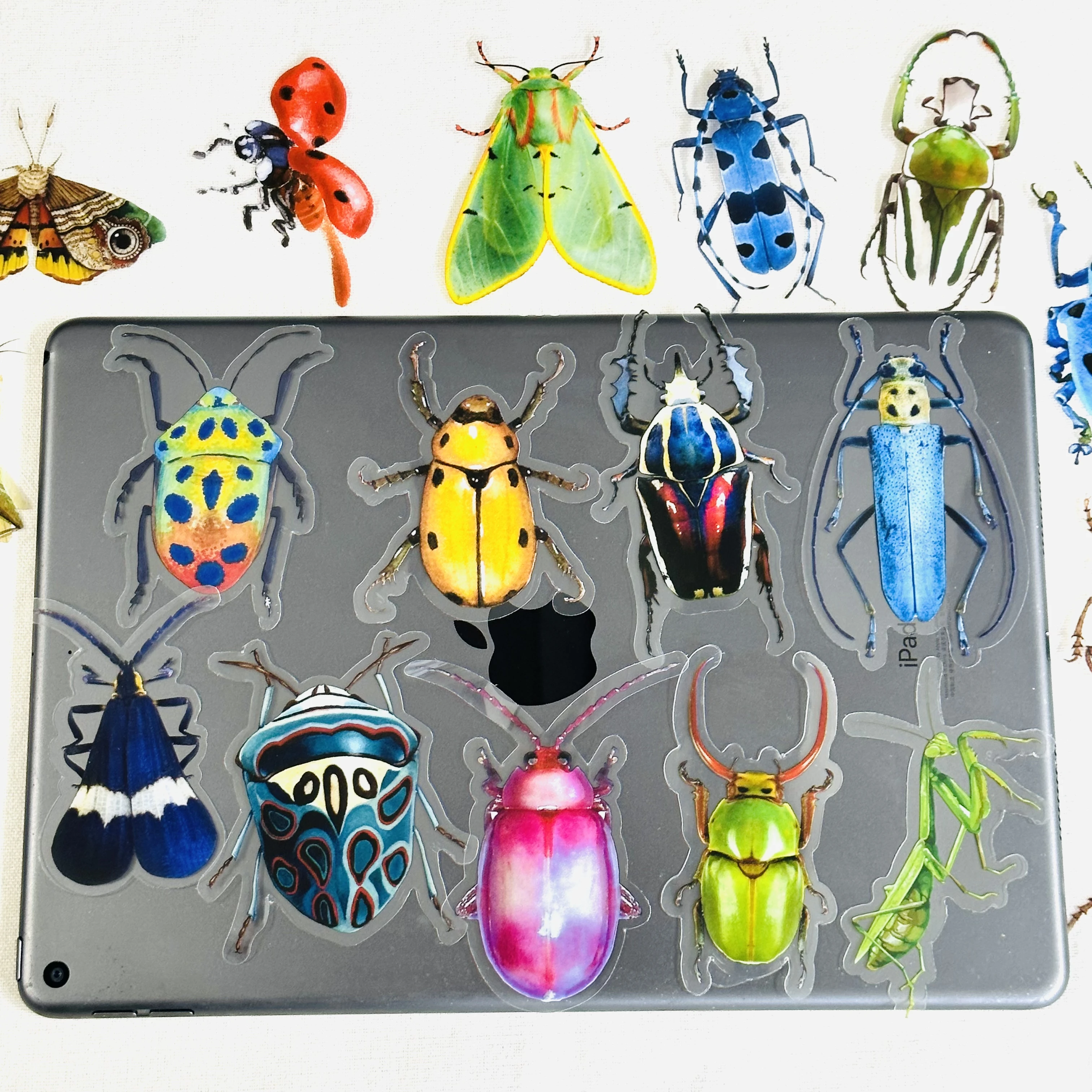 20PCS Vintage Crustacean Insect Specimen Sticker DIY Scrapbooking Journal Collage Phone Diary Photo Album Gift Decoration