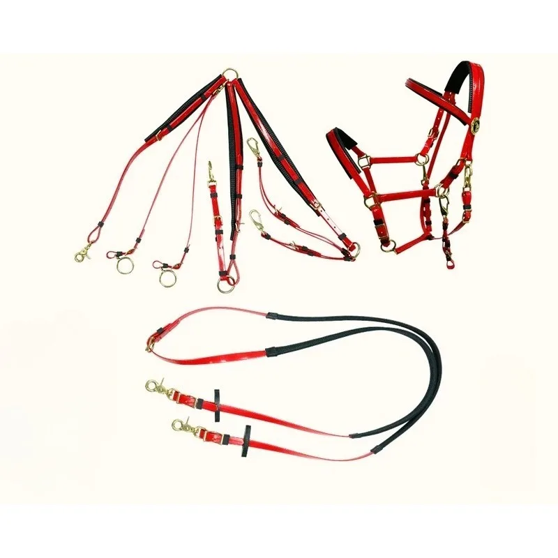 

Durable Padded TPU Endurance Bridle Set Adjustable Waterproof Horse Tack with Alloy Breastplate Martingale & Reins One Size