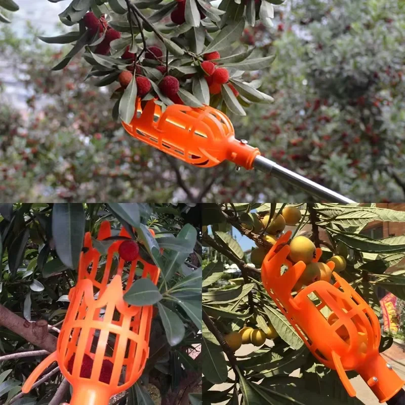 Telescopic Yangmei Fruit Picker High-Altitude Orchard Harvesting Tool for Garden Efficient Fruit Collection Equipment