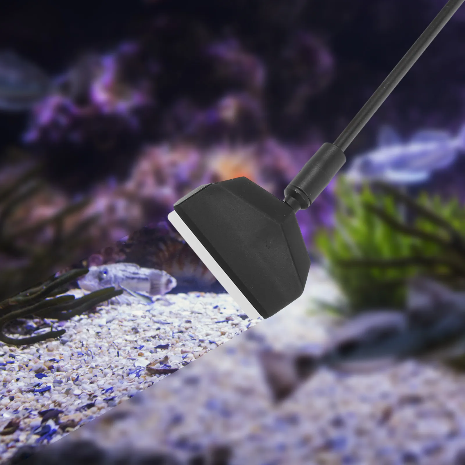 1Set Fish Tank Cleaning Brush Set 3 in 1 Aquarium Scraper Brush Compact Replaceable Head Ergonomic Grip for Daily Algae Debris