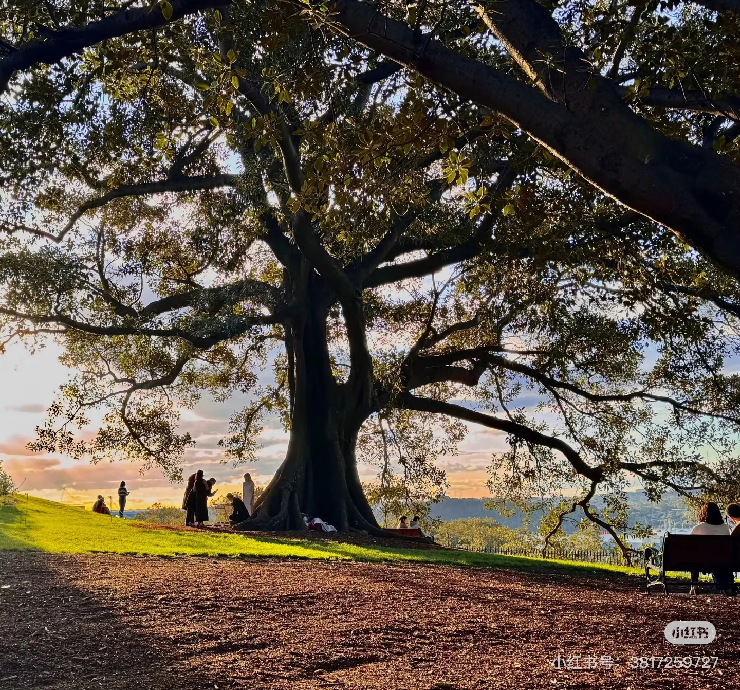 

Anti-wrinkle No Consumable Unlimited Vmax Shot Face Lift Slim Skin Tightening Machine for Beauty Salon