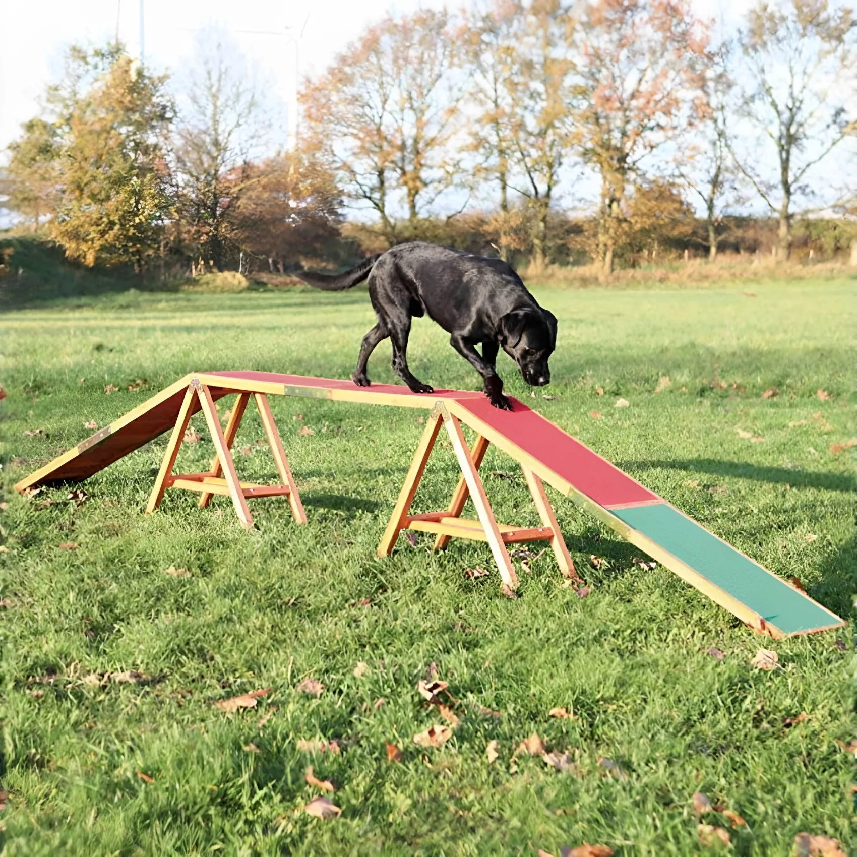 Level Pet Dog Single-plank Bridge Balance Beam Dog Walking Up and Down Obstacles Agility Competition