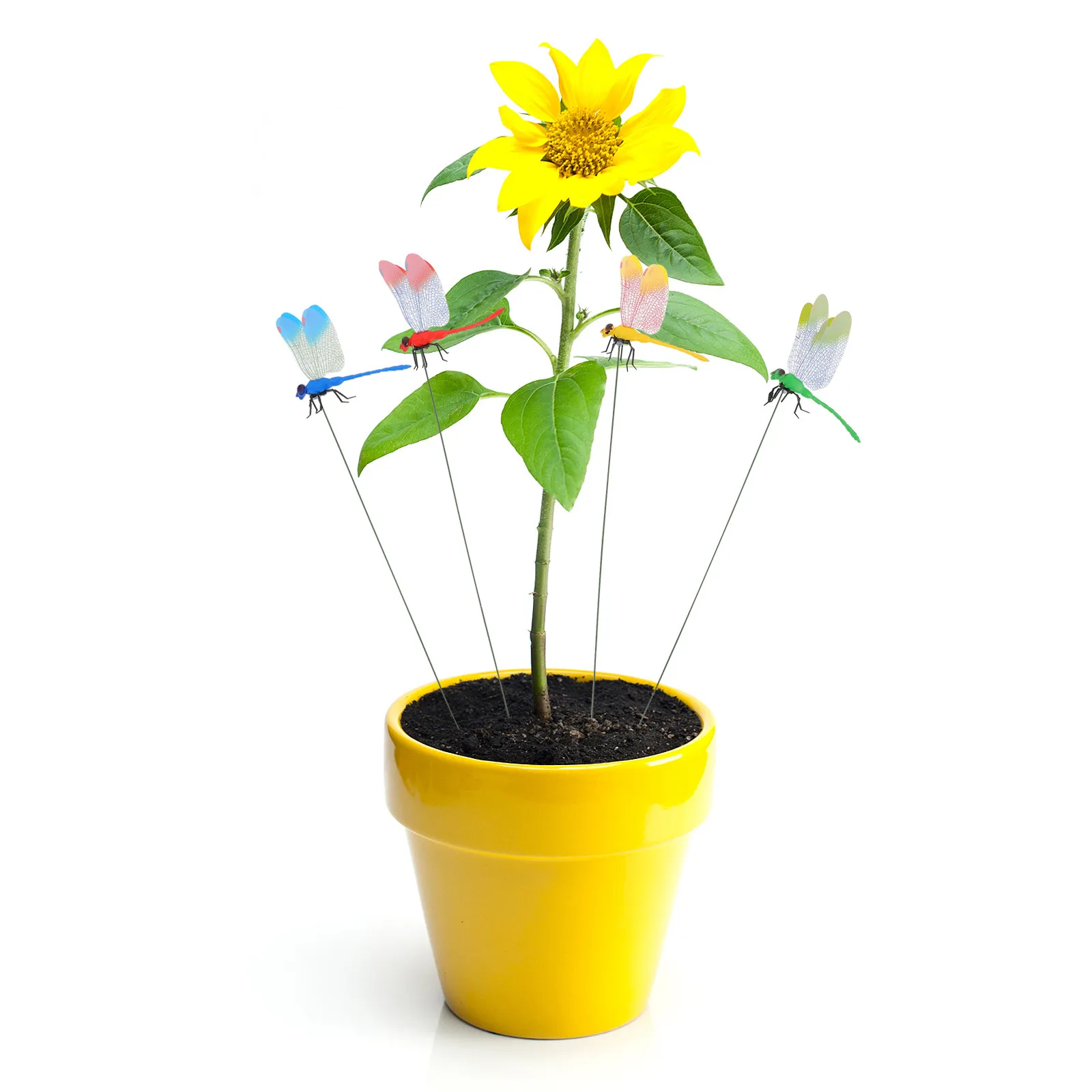 

Набор из 8 декоративных фигурок в форме стрекозы, креативный 3D-дизайн в мультяшном стиле для украшения дома, сада, офиса, красивые реалистичные мультяшные украшения для сада