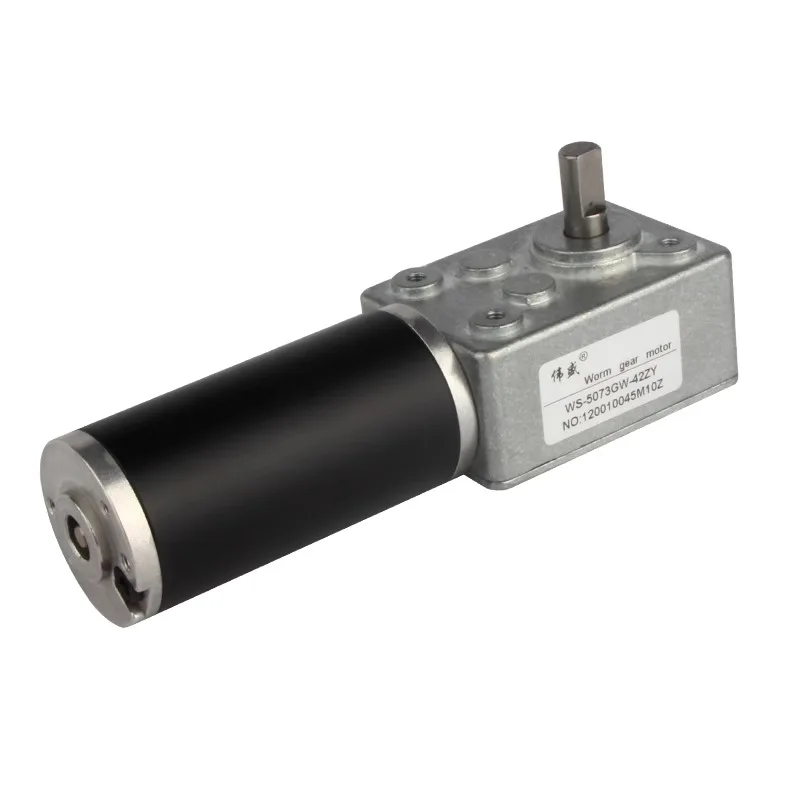 5073GW-42ZY DC 12V/24V 60W 5-312 RPM Worm Gear Reduction Motor for Industrial Machinery/Smart Home/Conveyor Systems