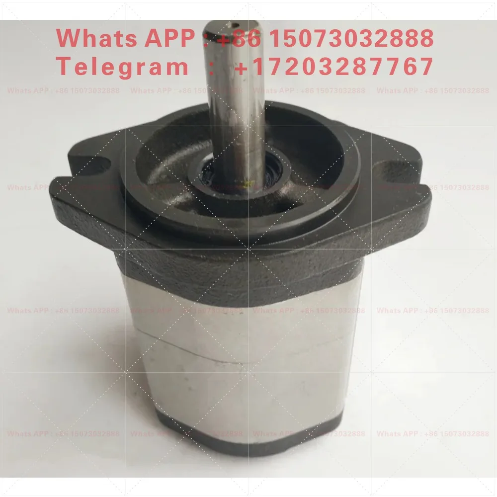 DEGB / EBG‑22‑6‑8‑11‑14‑16‑19‑R‑L Hydraulic Gear Oil Pump