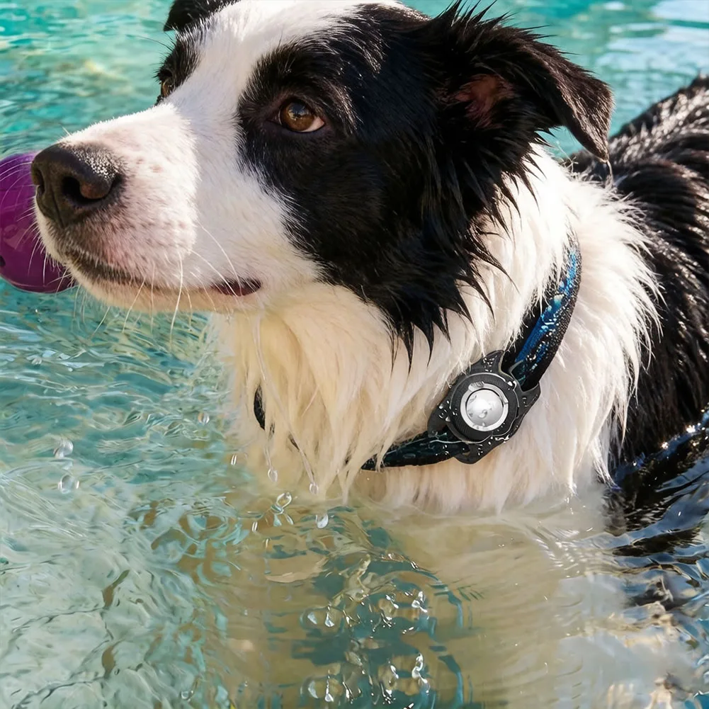 Capa preta para Apple AirTag, para coleira de cachorro ou gato, localizador GPS, à prova d'água IP67, capa protetora para Apple AirTag.