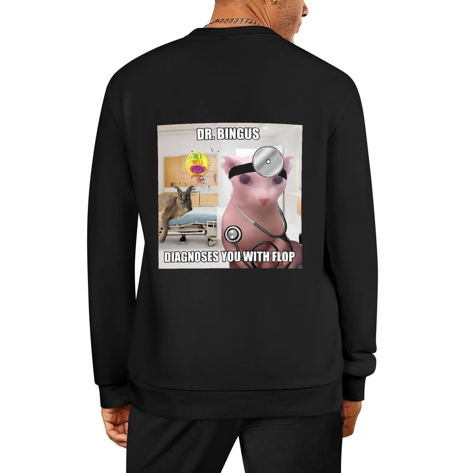 

Dr. Bingus and Floppa Pullover winter clothes autumn autumn jacket men korean autumn clothes aesthetic sweatshirts