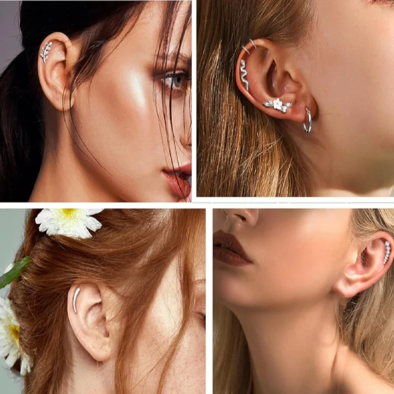 1Pc 16G Stainless Steel Screw Back Stud Earrings for Women Men, Fashion Cubic Zerconia Cartilage Conch Helix Ear Piercing Jewels image 5