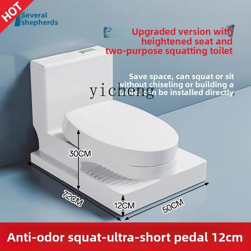 desktop squatting toilet toilet is changed to squatting pit with water trap changed to squatting toilet water tank