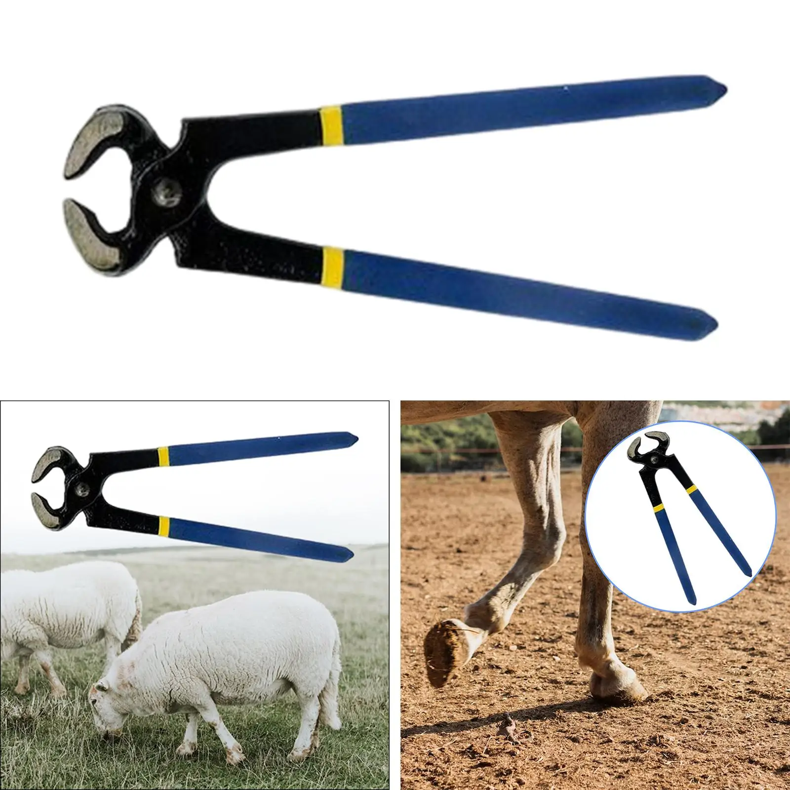 Recortador de pezuñas de caballo, cortaúñas profesional, herramientas de reparación de pezuñas, duradero, fácil de usar