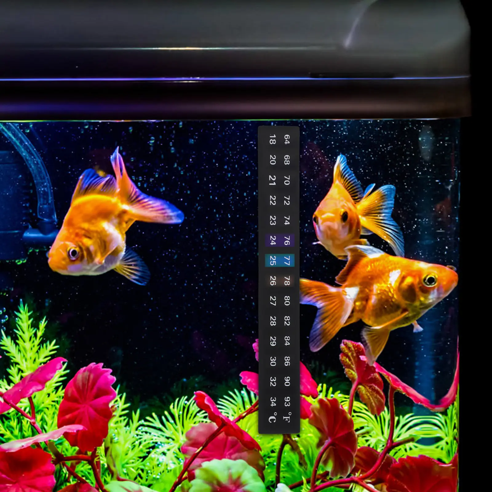 10 Termómetros Adhesivos para Acuario, Cambian de Color, 18-34 Grados Celsius, Tiras de Temperatura para Peceras, Botellas de Vino y Kombucha