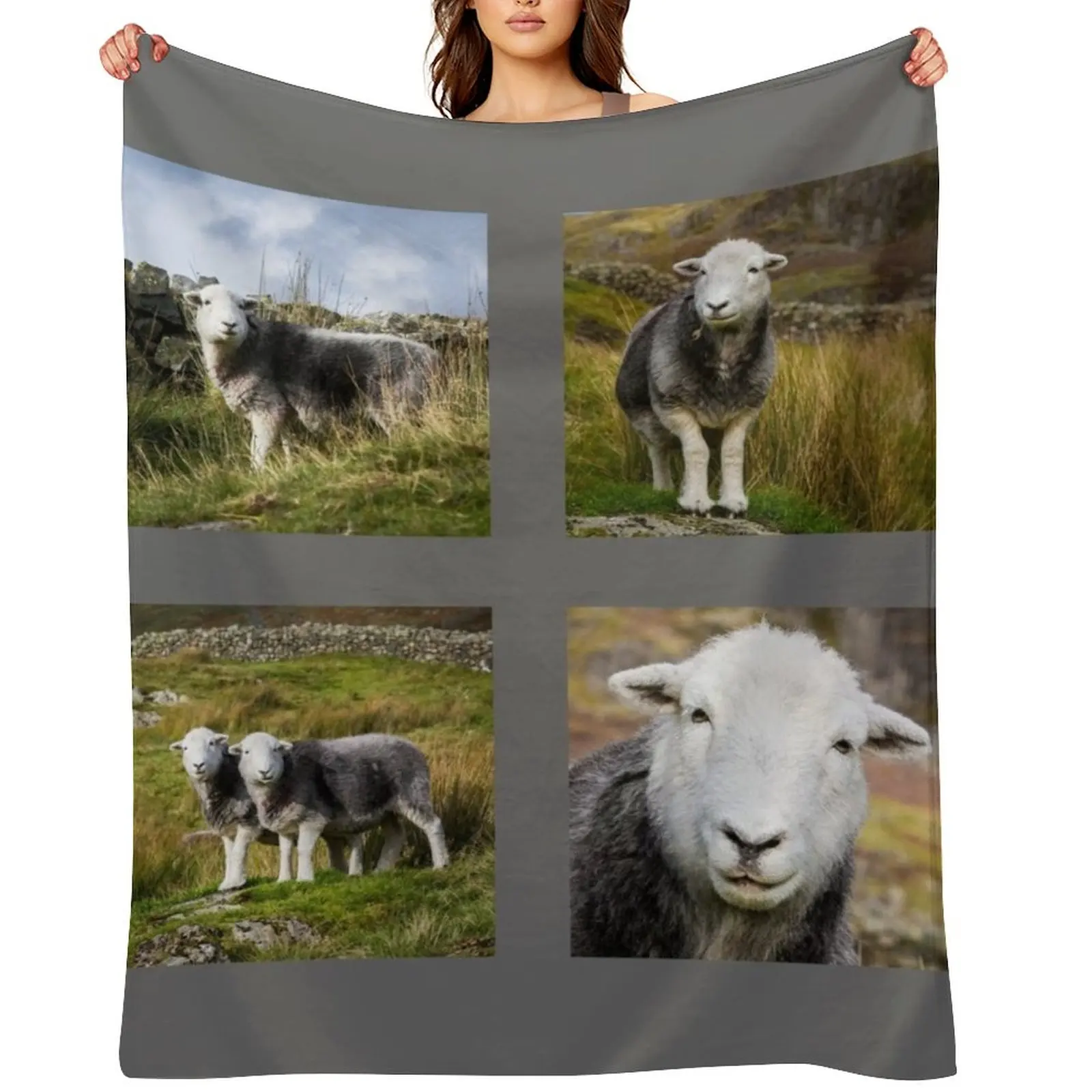 

Herdwick Sheep Collection Throw Blanket heavy to sleep halloween Blankets Sofas Of Decoration Summer Blankets
