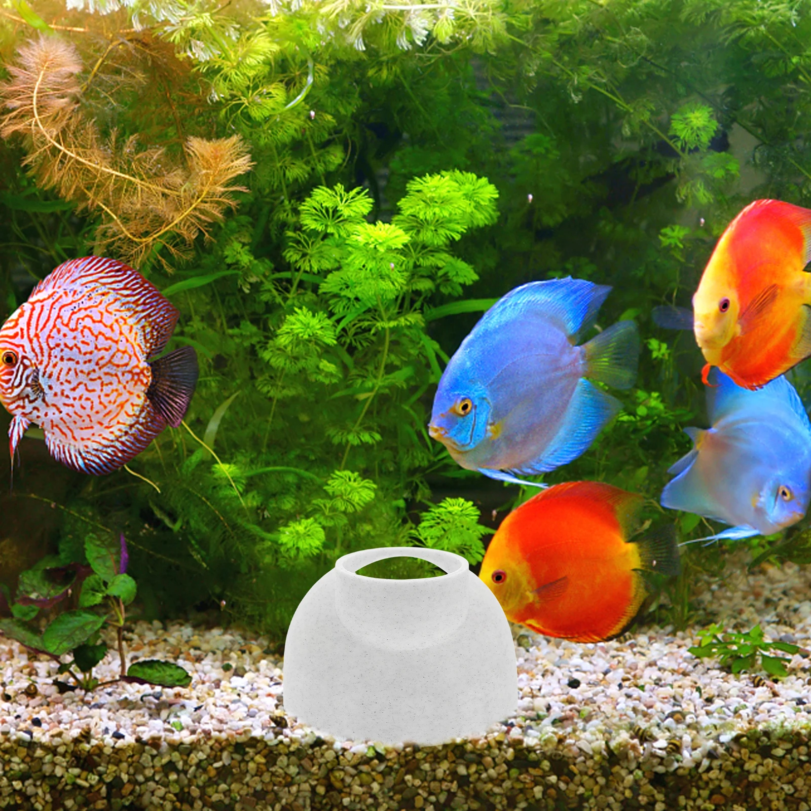 

3D Printed Shrimp Hiding Cave Aquarium Tank Decor Tunnel Freshwater Shrimp Cave Fish Hideout Betta Habitat Sturdy Safe Breeding