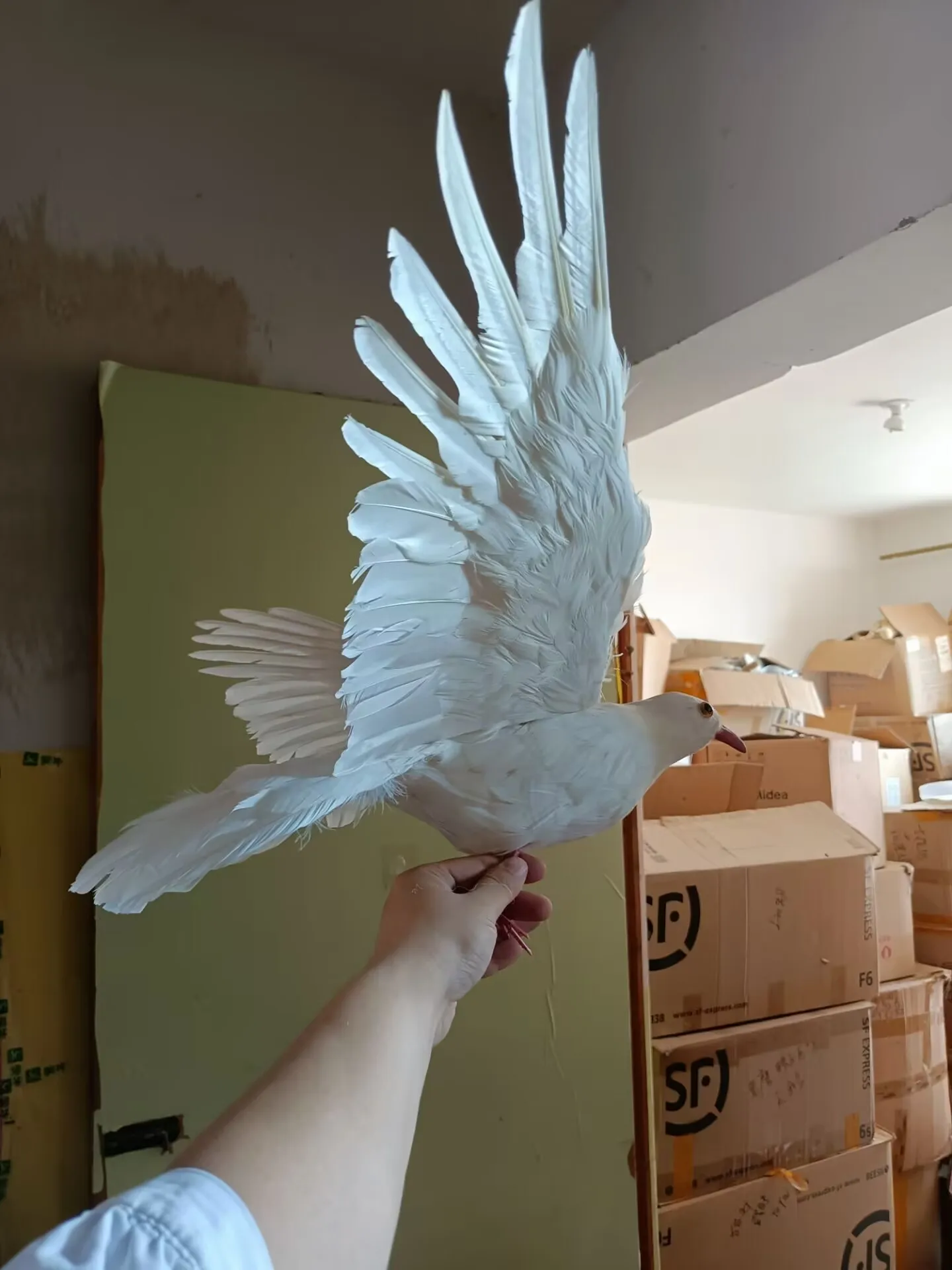 lovely white feathers peace foam&feather dove model handicraft garden decoration about 42x70cm gift a2414