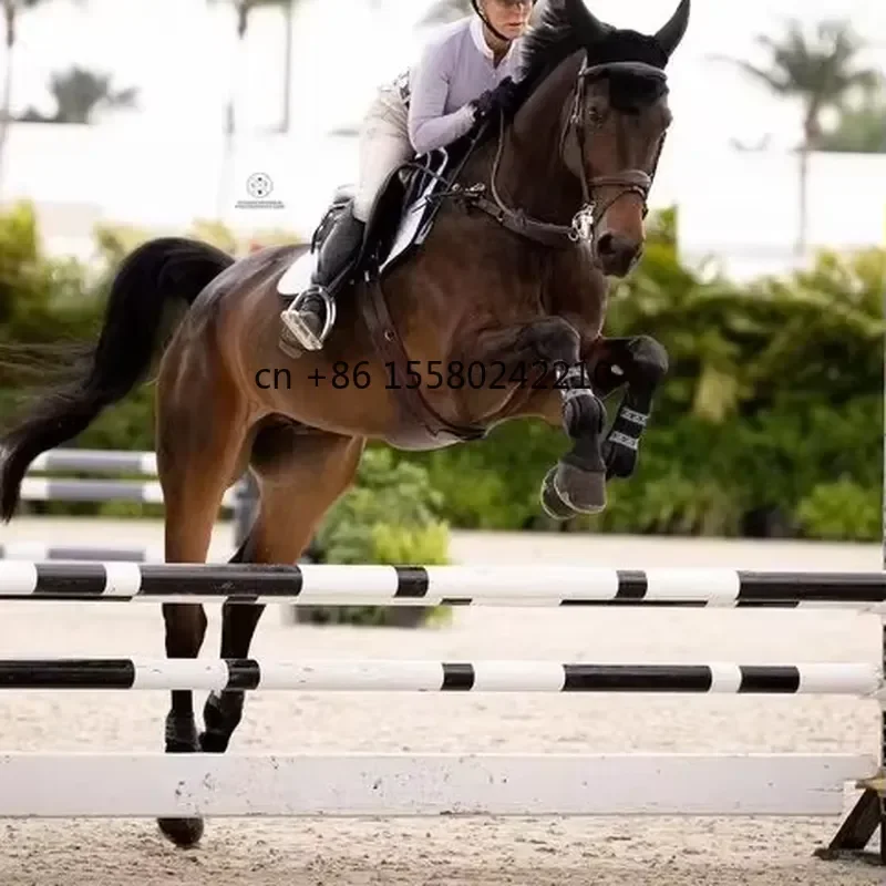 for Reliable Elegant Equestrian Jump Equipment with Adjustable Rails for Riding Practice and Competition Preparation