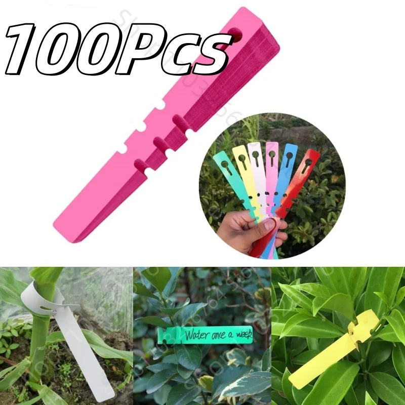 100Pcs 6-Color Waterproof Plant Markers Plastic Plant Hanging Tags Diy Gardening Plant Reusable Marker Label Tools