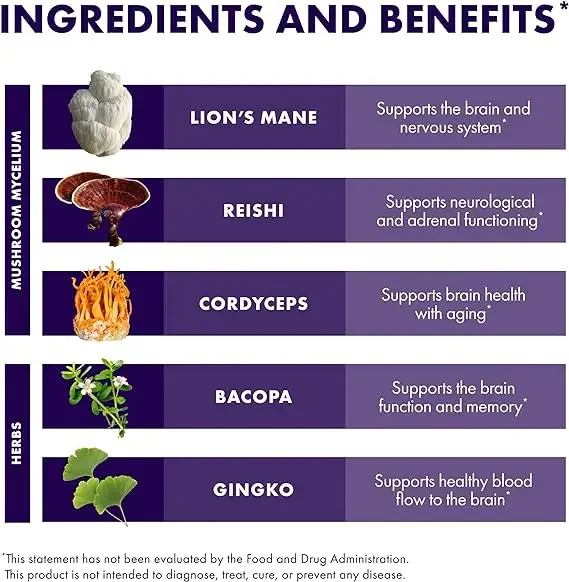 Mycobotanicals Brain Capsules - suplement wspomagający mózg z grzybami Lion Mane, Ganoderma Lucidum i Cordyceps - 60 kapsułek