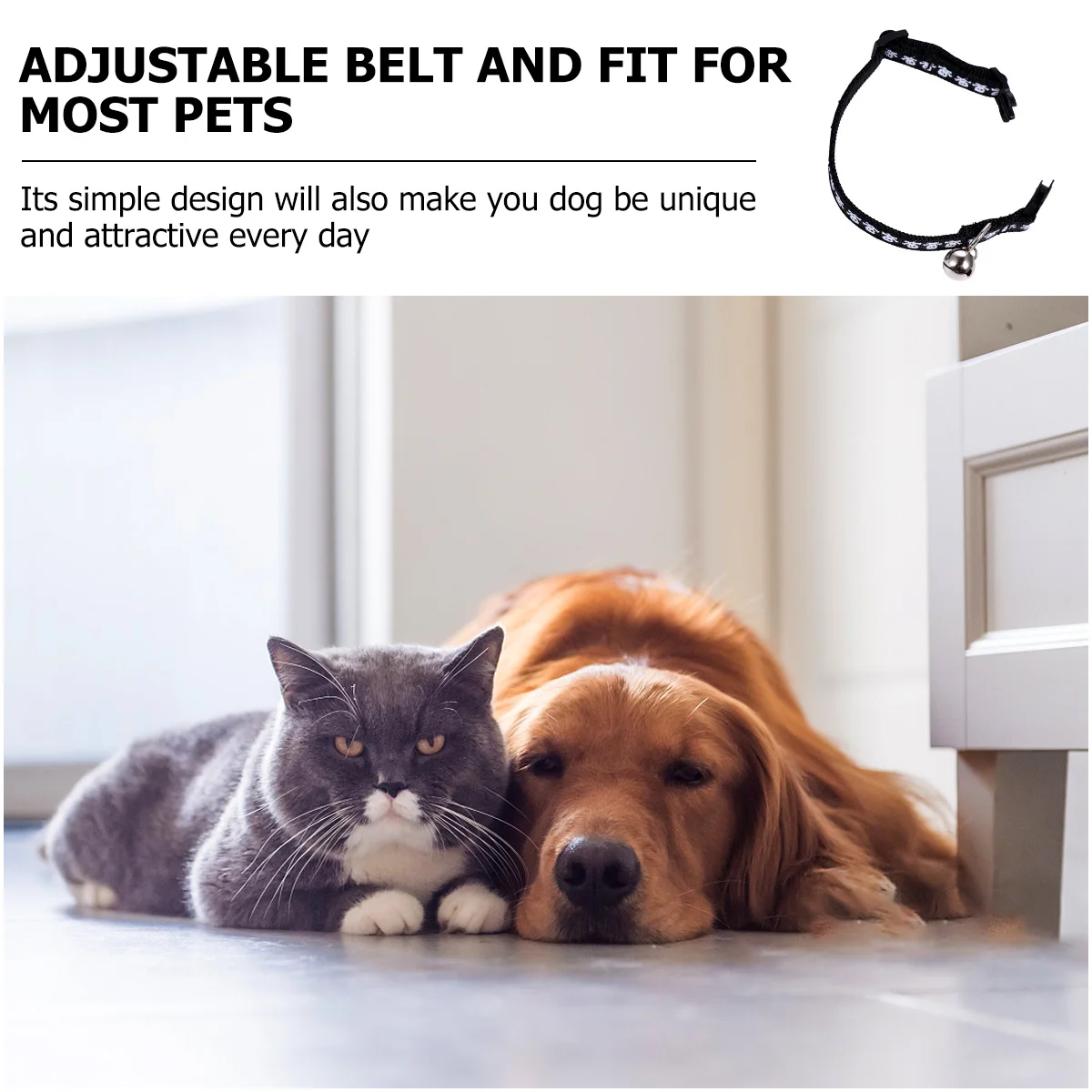 

Creative Dog Collars Dog Skull Collars Pet Crystal Collars Pet Stylish Collars Dog Stylish Collars