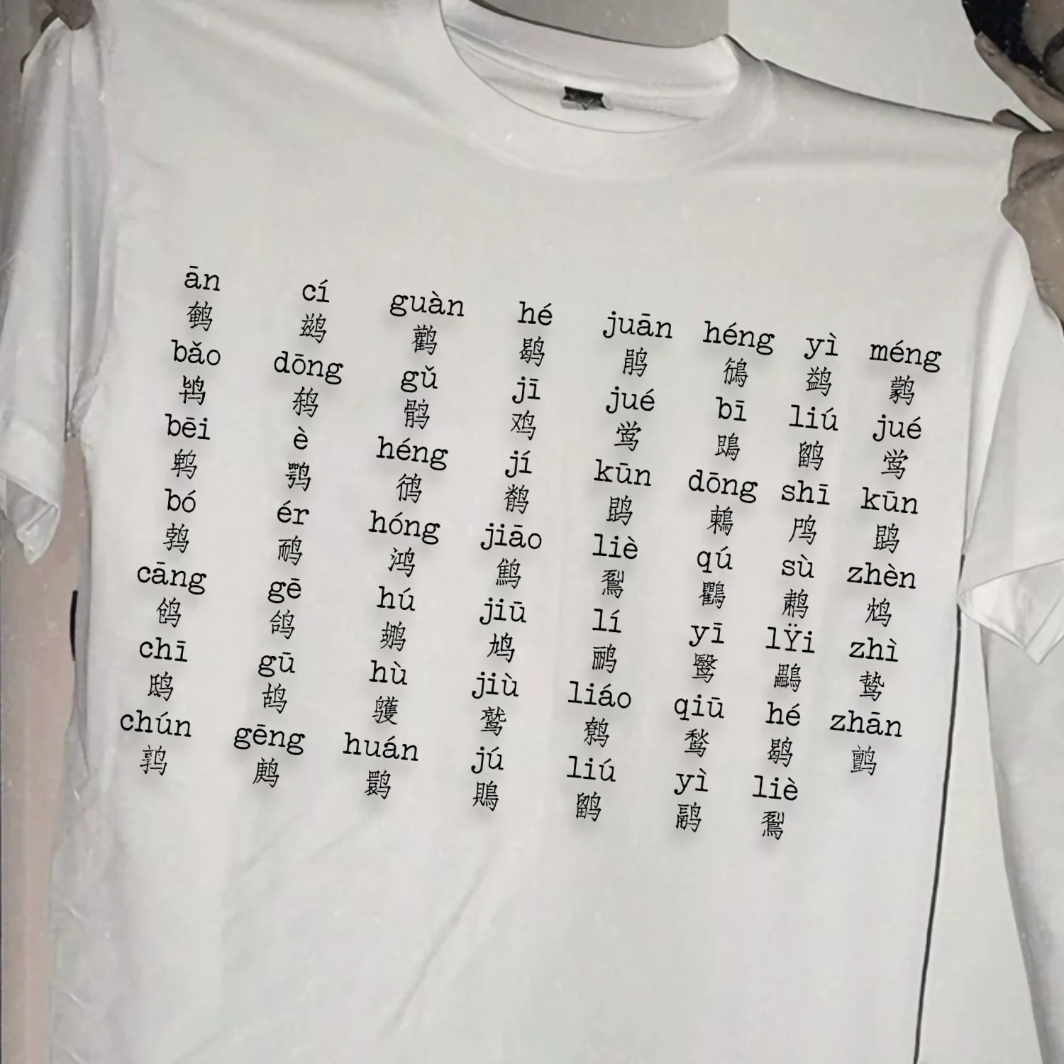 Loose Cotton T-Shirt Men's Summer Short Sleeve Breathable Comfortable Printed Casual round Neck Top for Unisex Bird Watching