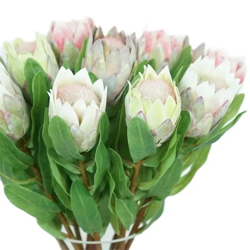 7Pcs Fake Single Stem Protea Cynaroides 18.9