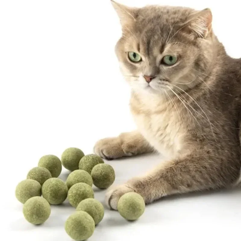 5/10/20 Stück natürliche Katzenminze-Bälle, Kätzchen-Katzen-Nip-Ball, Licker-Spielzeug für Katzen aller Rassen, Lecken Sie Ball-Spielzeug, das Haustierkatzen faszinieren – Detail 18
