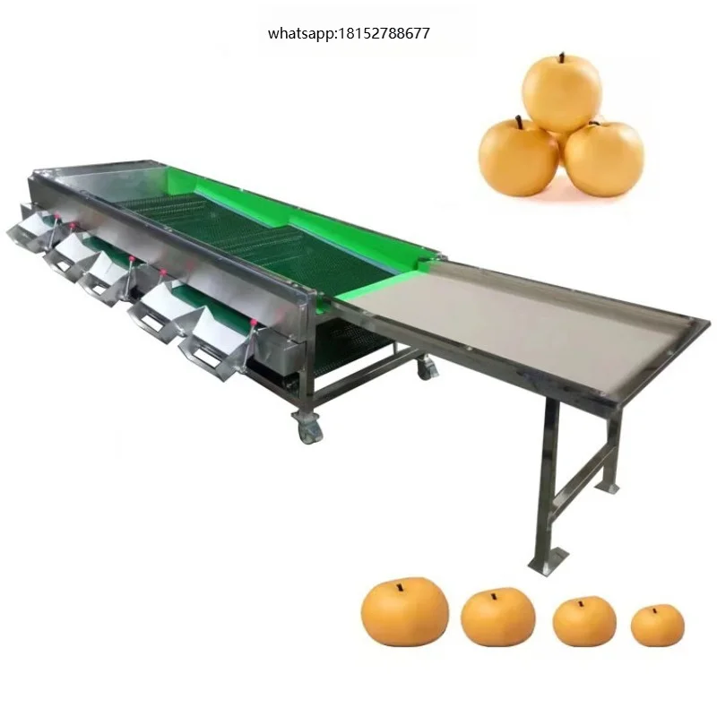 Automatic Vegetable Cherry Tomato Cherry Calibrator Sorter Grader Machine