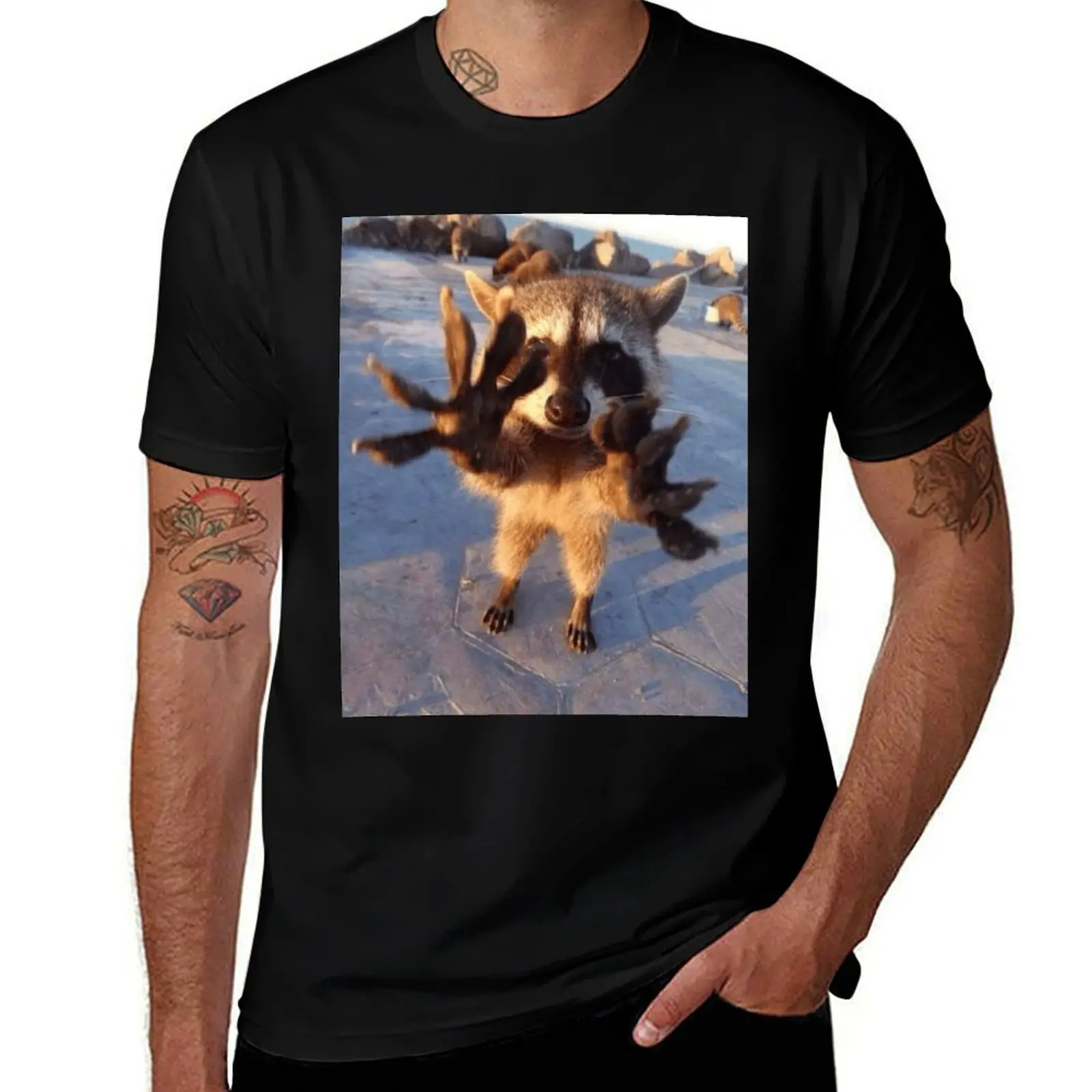 Silly Raccoon Gonna Touch You T-Shirt tops Aesthetic clothing t shirt men