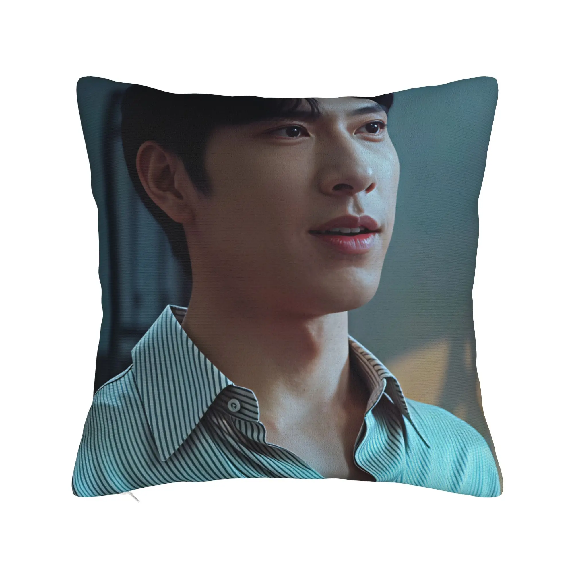 The Early Spring jing boran  Pillow Cover  Vintage Pillow Case For Sofa Home Decor Custom Pillowcases Gift