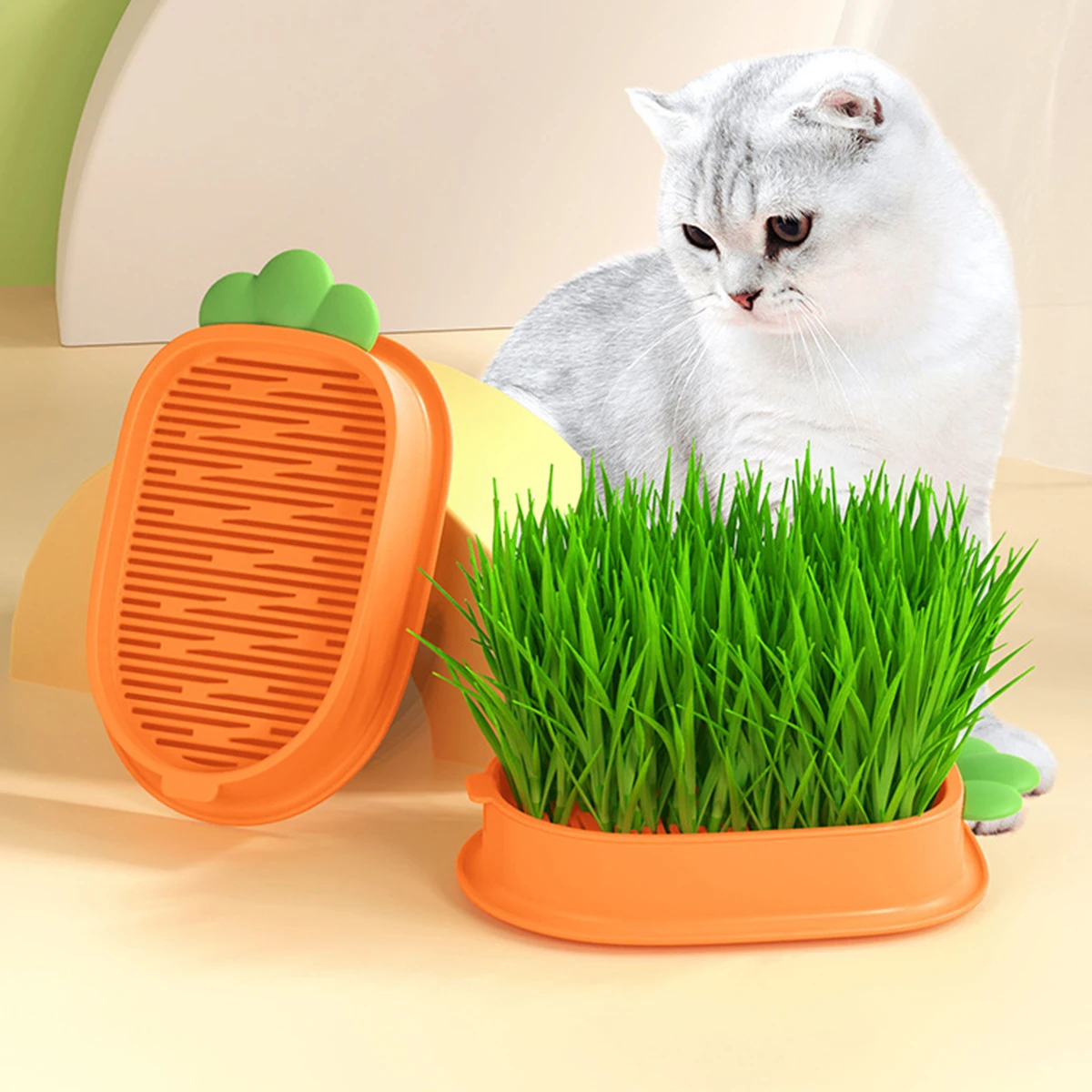 Cat Grass Grow Kit Plant Germination Tray Cat Grass Seed Starting Tray Carrot Style Soilless Cat Grass Germination Tray