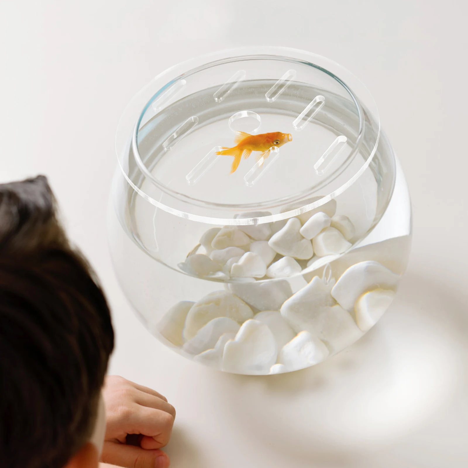 

Fish Tank Cover Acrylic Escape-Proof Aquarium Top Durable Wear-Resistant Reusable Anti-Escaping Terrarium Cover Fish Tanks