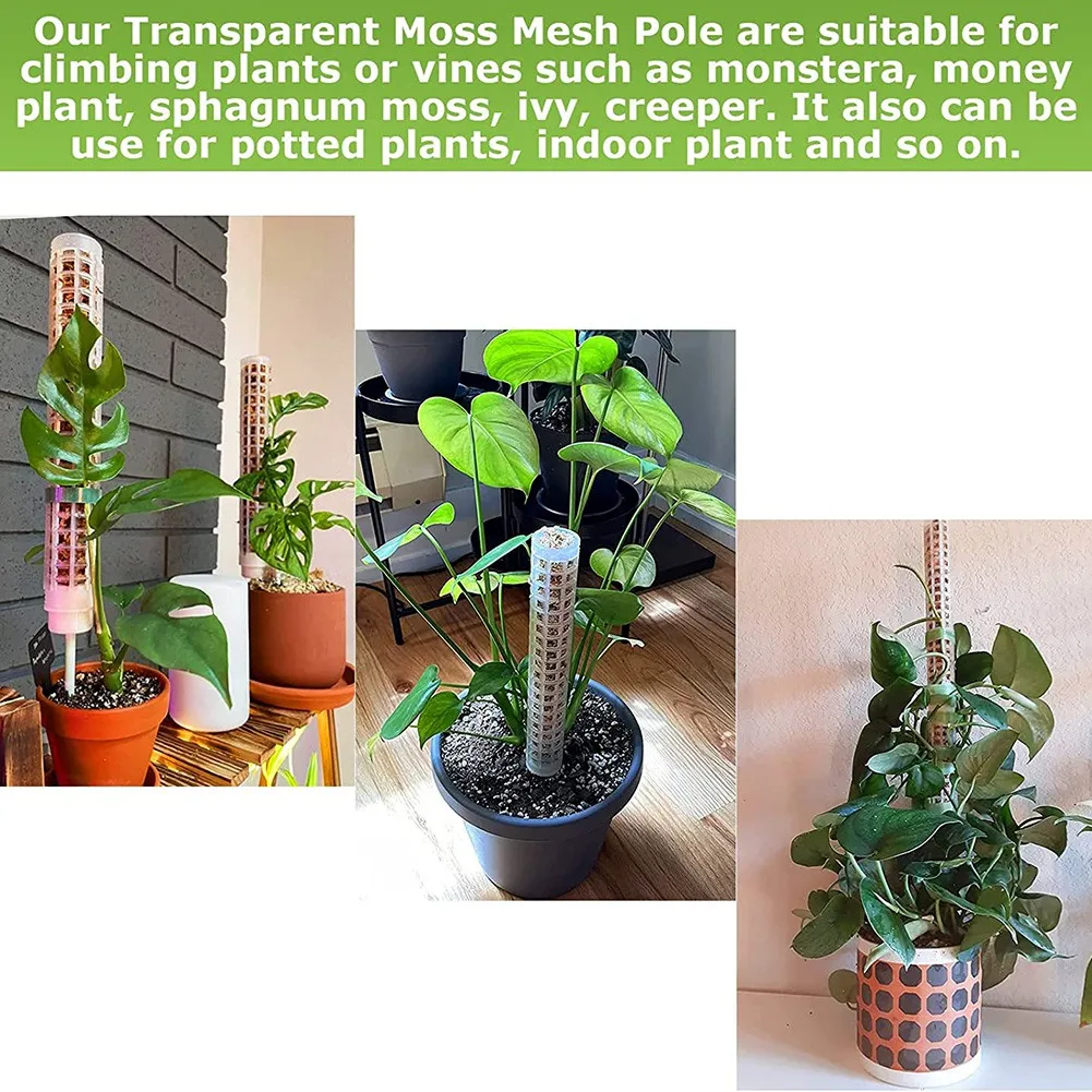 植物用プラスチックモスポール、透明メッシュ、小イワシ、モンステラポットプラント、6個、15インチ