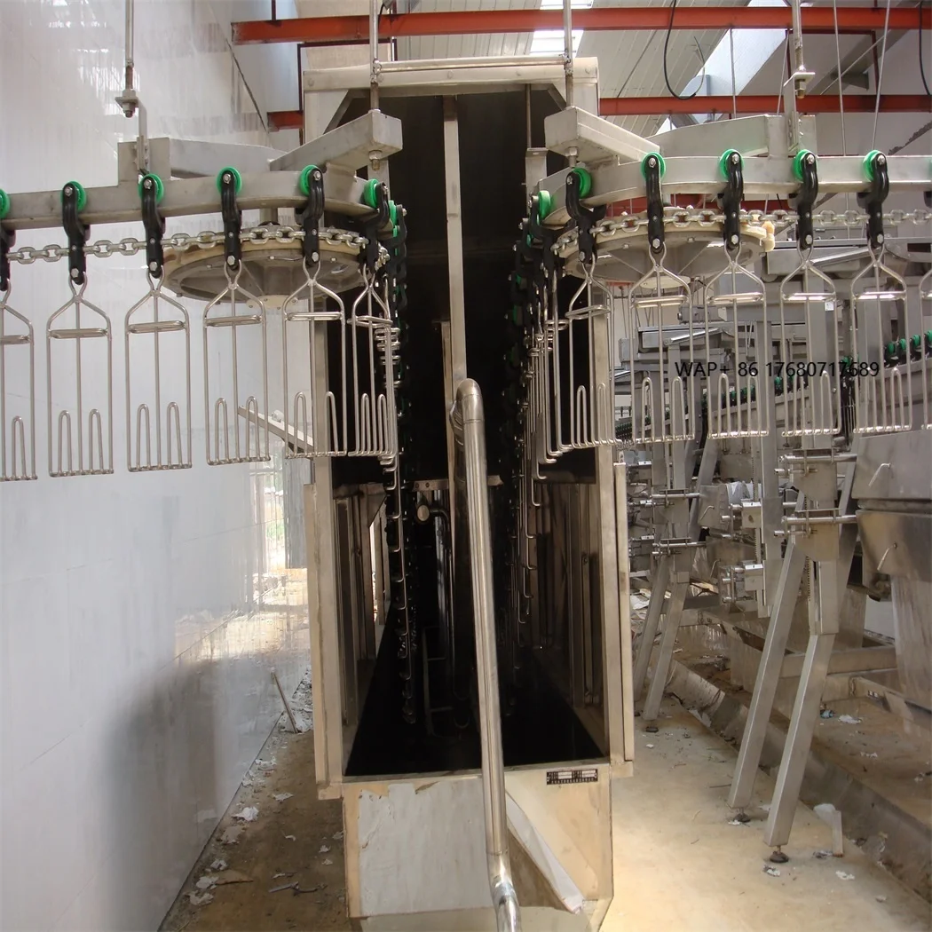 

Fully Automatic Stainless Steel Poultry Broiler Duck Quail Bird Chicken Feather Plucking Machine